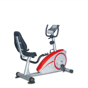 Daily Youth Premium Recumbent Bike – FD5021