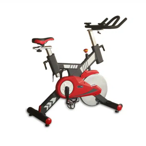 Daily Youth Premium Spinning Bike – FD9872