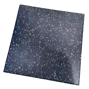 Rubber Gym Floor Mat – 20 Inch x 20 Inch, 20mm Thickness