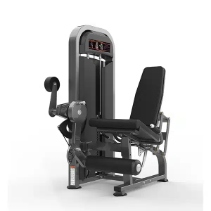 Leg Extension – M2-1005 – Realleader USA