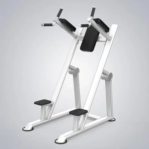 Professional Premium Vertical Knees Up/Dip Machine – DHZ – U2047