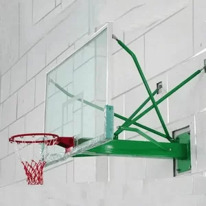 Professional Basketball Hoops